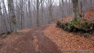 otta Schadlish-03-06-2014 18-01-29
